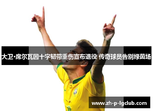 大卫·席尔瓦因十字韧带重伤宣布退役 传奇球员告别绿茵场 大卫·席尔瓦因十字韧带重伤宣布退役 传奇球员告别绿茵场